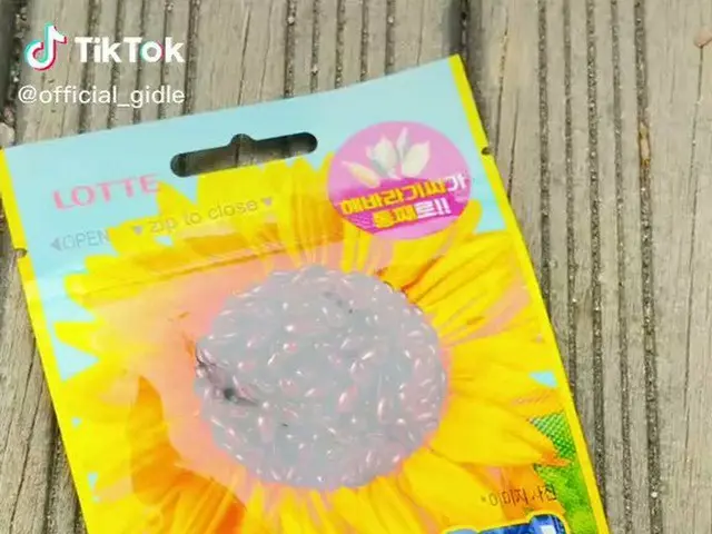【t公式】(G)I-DLE_、 Let's all BEAM BEAM！ (with Sunflower Chocoball)   