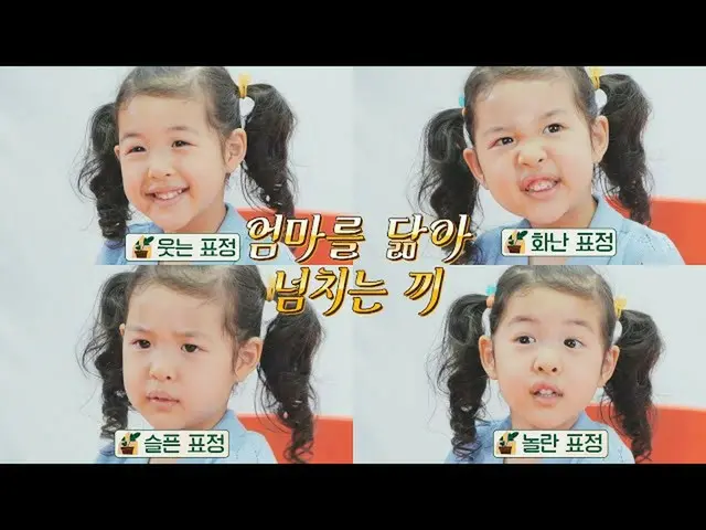 【公式jte】 表情豊かロア❣️チョ・ユンヒ_ (Jo Yun-Hee)に似てチョルチョルあふれる食💦私育てる(naeki)1回| JTBC 210709放送