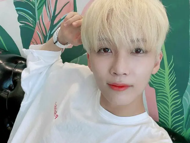 【JT公式】SEVENTEEN、RT pledis_17：[17'Sジョンハン] CARAT💕