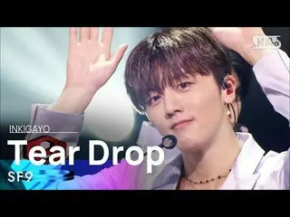 【公式sb1】SF9_ _ (SF9_ ) -  Tear Drop人気歌謡_ inkigayo 20210711  