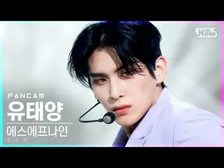 【公式sb1】【テレビ1列_]SF9_ ユ・テヤン「Tear Drop」(SF9_ _ YOO TAE YANG FanCam)│@ SBS 人気歌謡_2021