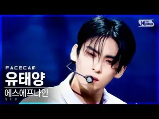【公式sb1】【フェイスカム4K]SF9_ 有太陽」Tear Drop」(SF9_ _ YOO TAE YANG FaceCam)│@ SBS 人気歌謡_202