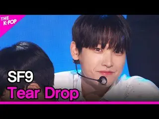 【公式sbp】 SF9_ _ 、Tear Drop(SF9_ 、Tear Drop)[THESHOW_ _ 210713]  