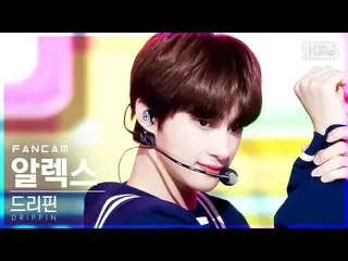 【公式sb1】【テレビ1列_]DRIPPIN_ アレックス_ 「Free Pass」(DRIPPIN_ _ ALEX FanCam)│@ SBS 人気歌謡_20