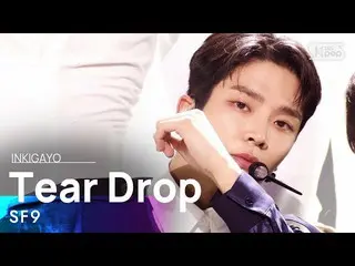【公式sb1】SF9_ _ (SF9_ ) -  Tear Drop人気歌謡_ inkigayo 20210718  