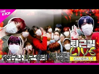 【公式sbp】 [仕事帰りLIVE 4K】💥パンパン！💥だ溢れてしまったOMEGAX_ (OMEGAX_ _ )のワイワイ仕事帰り！  