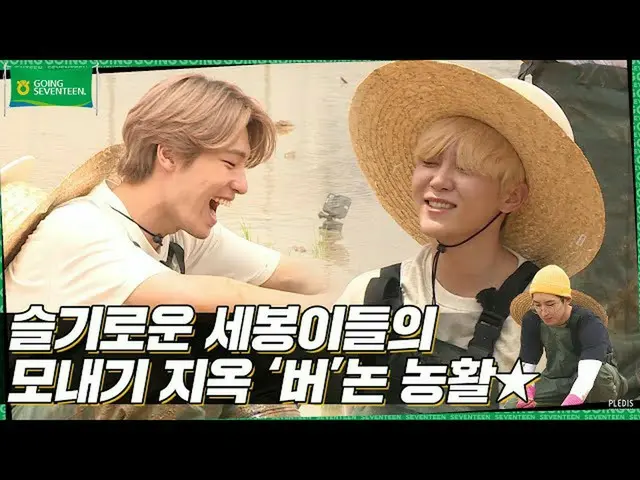 【公式】SEVENTEEN、[GOING SEVENTEEN] EP.14バーノンせっかく田植えをし、すべてのことをしてみた #1(Planting Rice 