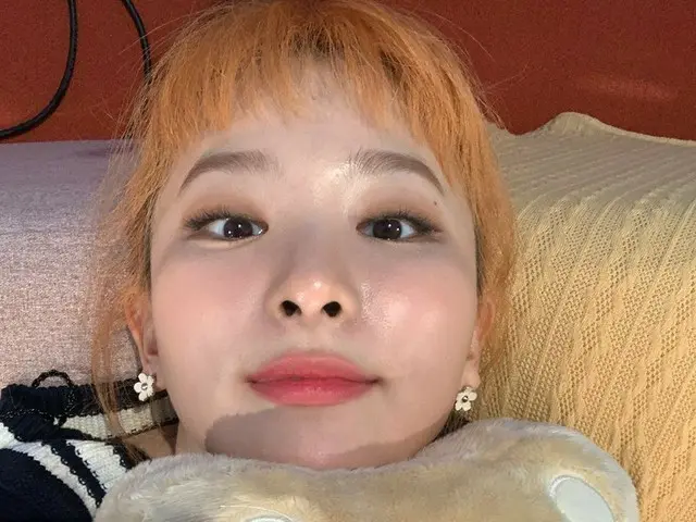 【t公式】RED VELVET、私の新しいチングチングイ🐻知恵の家で会っ用🧡  #英知#SEULGI #英知家 #知恵zip #Red Velvet #Re