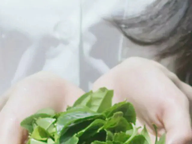 【d公式sta】【 #チャン・ウォニョン]チャン・ウォニョンxイニスフリーWant💚young❕ ecoinnisfree  #フェルナンド #ウォニョン#W