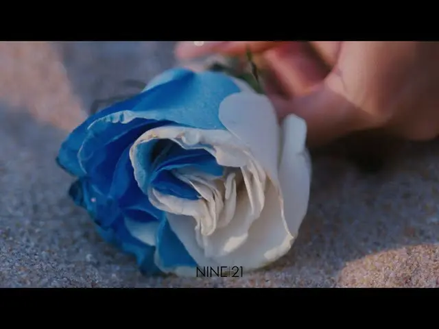 【t公式】MAMAMOO、[ #ファサ] KINDA BLUE xファサ(HWA SA) - 「I can not make you love me」 Conc