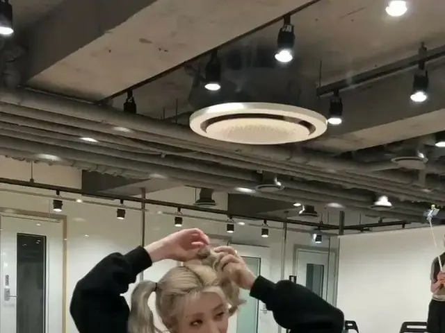 【t公式】今月の少女(Loona)、[今月の少女(LOONA)キクキク #223]ギンニプはいつからコッカースパニエルだったの〜？  #今月の少女(LOONA)