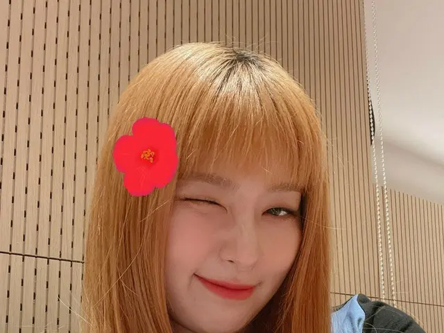【t公式】RED VELVET、お客様🧡スルギzip🏠もお楽しみに🐻  #英知#SEULGI #英知家 #知恵zip #Red Velvet #RedVe