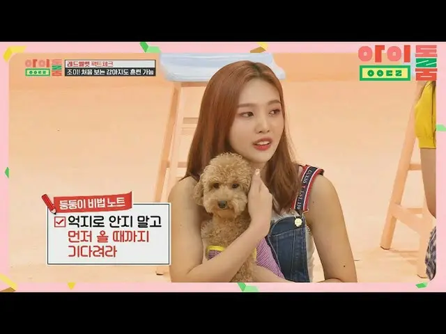 【公式jte】 調教王ジョイ(JOY_ )とデンデンイの水準級教頭はLove♡アイドルルーム(idolroom)Ep.15 | JTBC 180814放送  