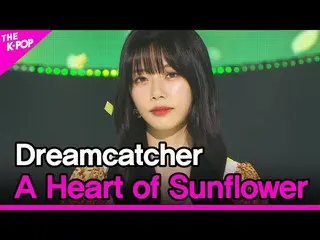 【公式sbp】 Dreamcatcher、A Heart of Sunflower(DREAMCATCHER、ヒマワリの心)[THESHOW_ _ 210810
