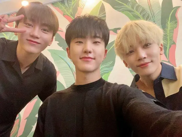【JT公式】SEVENTEEN、RT pledis_17：[17'S星]夏季闘争～～～～～💕
