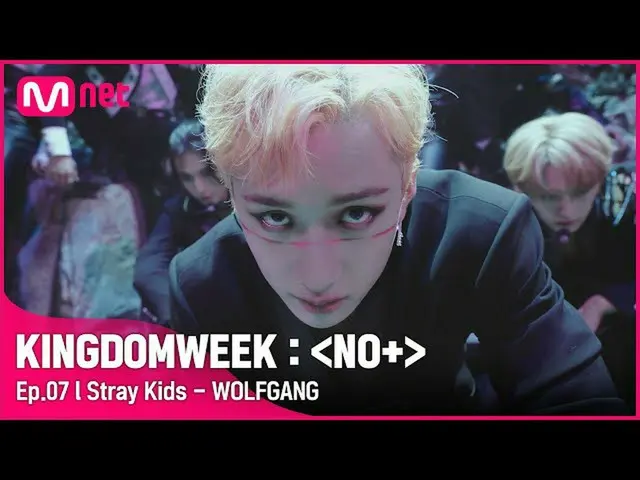 【公式mnk】♬WOLFGANG  -  StrayKids_ (StrayKids_ _ )|ストレイキッズカムバックショー{NOEASY}  