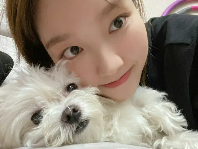 【t公式】今月の少女(Loona)、[ #高原/ #GoWon]ポケット宮写真撮るか？💕 🐶：😪😴🥱  #今月の少女(LOONA)#LOONA
