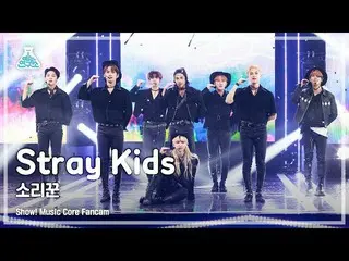 【公式mbk】【芸能研究所4K] StrayKids_ 直カム」歌い手」(StrayKids_ _ FanCam)Show！MusicCore 210904  