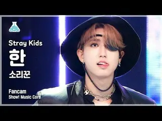 【公式mbk】【芸能研究所4K] StrayKids_ た直カム」歌い手」(StrayKids_ _ HAN FanCam)Show！MusicCore 210