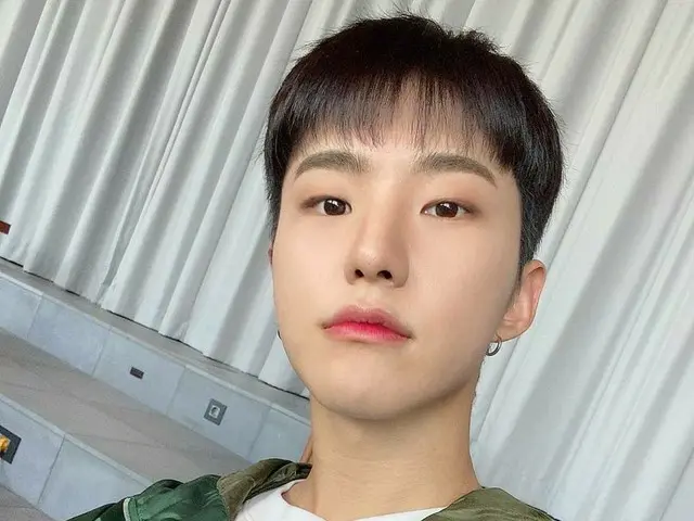 【JT公式】SEVENTEEN、RT pledis_17：[17'S HOSHI]💚