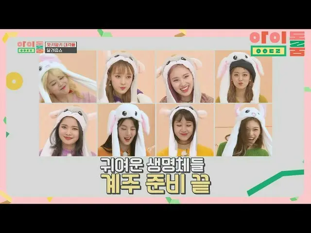 【公式jte】 (所長、各)ウサギ・ヘムチフード耳詠WekiMeki_ (WEKIMEKI)(for
