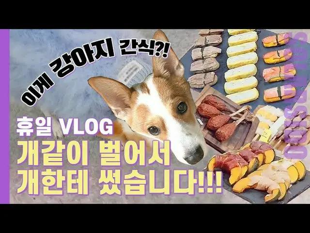 【t公式】MAMAMOO、[ #ソーラー] Self Vlogㅣペトフェア訪問、犬用品、人食品のような犬食品、ラグジュアリーそのものである犬の服たち🔗 #MA