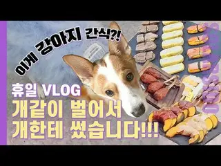 【t公式】MAMAMOO、[ #ソーラー] Self Vlogㅣペトフェア訪問、犬用品、人食品のような犬食品、ラグジュアリーそのものである犬の服たち🔗 #MA