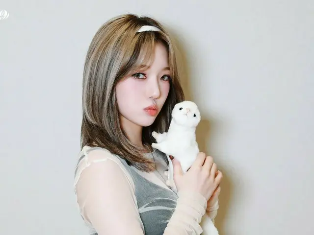 【t公式】fromis_9、[💌 #fromis_9] Talk＆Talk Video Call Event 🖇  #パク・チウォン #ノ・ジソン #イ・ソ