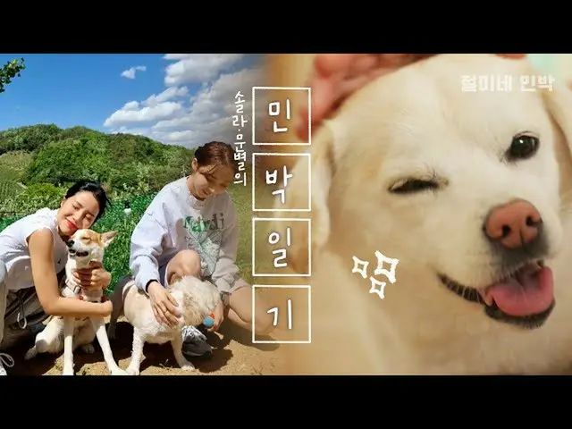 【t公式】MAMAMOO、[ #ソーラー #ムンビョル] (ENG)Ep.2残されたヨンキ、装具、ジョルミ
