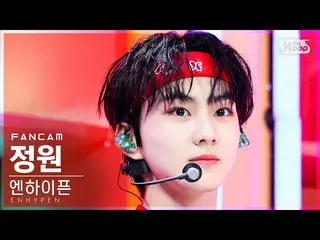 【公式sb1】【テレビ1列_]ENHYPEN_ 庭園」Tamed-Dashed」(ENHYPEN_ _ JUNGWON FanCam)│@ SBS 人気歌謡_2