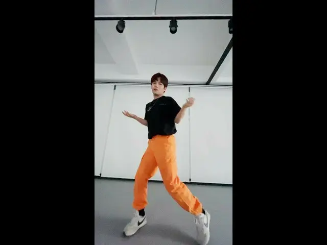 【公式mhn】ダンスに心からのバラーダーのSavage  
