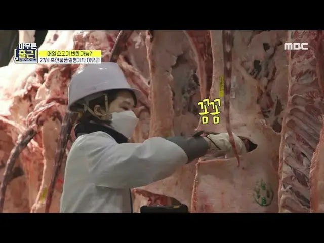 【公式mbe】 【とにかく出勤！】零下の職場入城！肉質＆肉量で牛等級を判定する畜産物品質評価会社イ・ユリ_ ！🥩、MBC 211109放送  