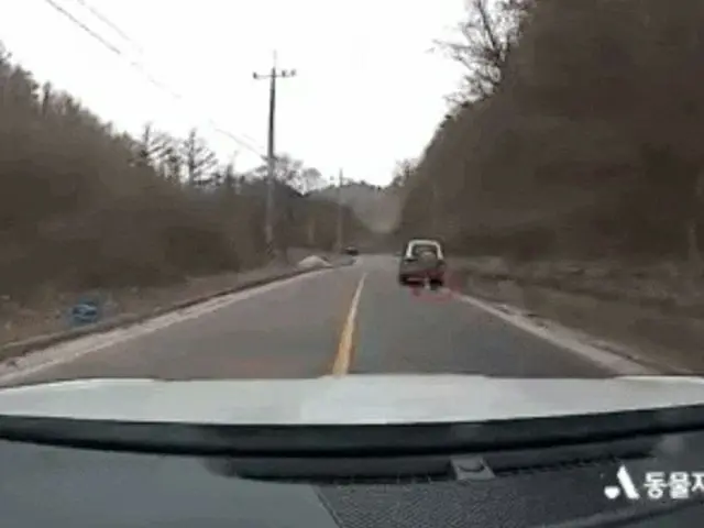 韓国・尚州市で犬を乗用車の後ろにつないだまま走った男が動物保護法違反容疑で起訴されて懲役4年・執行猶予1年を言い渡されて話題に