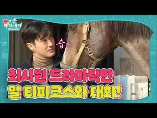 【公式sbe】 チェ・シウォン_ 、馬ティピコースとドラマチックな休憩時間！  