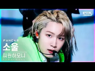【公式sb1】【安房1列_】 P1Harmony_ ソウル 'Do It Like This' (P1Harmony_ _  SOUL FanCam)│@SBS
