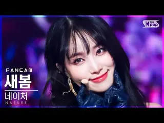 【公式sb1】【安房1列_】NATURE_ 新春「RICA RICA」(NATURE_ _ SAEBOM FanCam)│@SBS 人気歌謡_2022.01.3