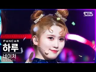 【公式sb1】【安房1列_】NATURE_  一日「RICA RICA」(NATURE_ _  HARU FanCam)│@SBS 人気歌謡_2022.01.3