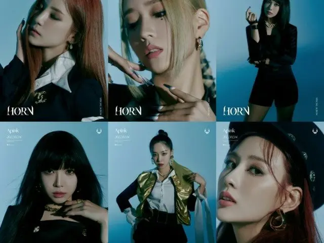 「Apink」側、KBS「屋根部屋の問題児たち」にメンバー全員で出演という報道があったが、ナウンの出演はナシであることを発表