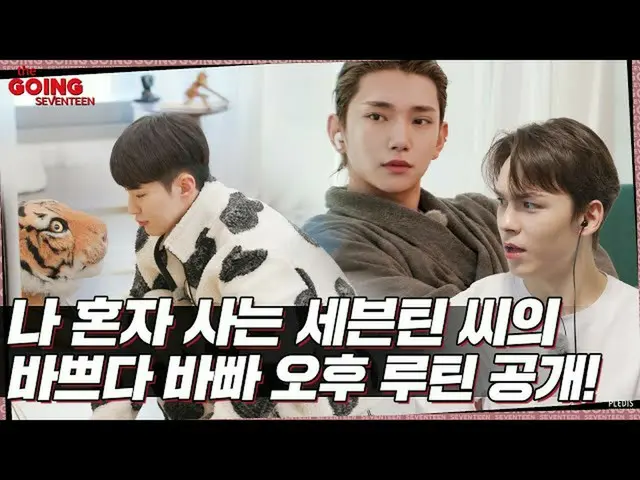 【公式】SEVENTEEN、[GOING SEVENTEEN] EP.41 一人暮らしのSEVENTEENさんのトルーマンショー #2 (The Truman 