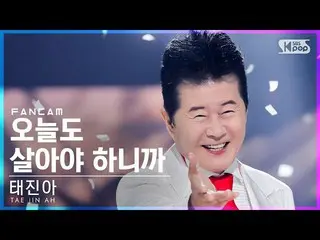【公式sb1】【安房1列_】テ・ジナ「今日も生きてこそハニか」 (TAE JIN AH 'I have to live today, too' FanCam)│