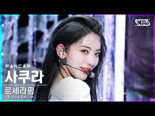 【公式sb1】【安房1列_】LE SSERAFIM_ さくら「FEARLESS」(LE SSERAFIM_ _  SAKURA FanCam)│@SBS 人気歌