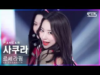 【公式sb1】【安房1列_】LE SSERAFIM_ さくら「FEARLESS」(LE SSERAFIM_ _  SAKURA FanCam)│@SBS 人気歌
