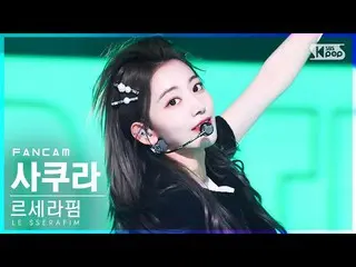 【公式sb1】【安房1列_】LE SSERAFIM_ さくら「FEARLESS」(LE SSERAFIM_ _  SAKURA FanCam)│@SBS 人気歌