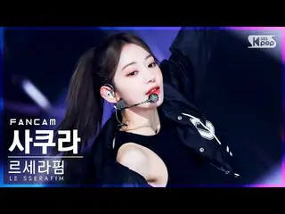 【公式sb1】【安房1列_】LE SSERAFIM_ さくら「FEARLESS」(LE SSERAFIM_ _  SAKURA FanCam)│@SBS 人気歌