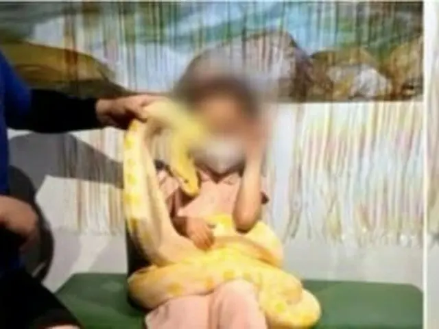 韓国・大田(テジョン)市の動物園で蛇とのふれあい体験中、5歳の少女が蛇に噛まれる事故が発生した