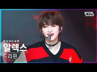 【公式sb1】【安房1列_】 DRIPPIN_  アレックス_  'ZERO' (DRIPPIN_ _  ALEX FanCam)│@SBS 人気歌謡_2022