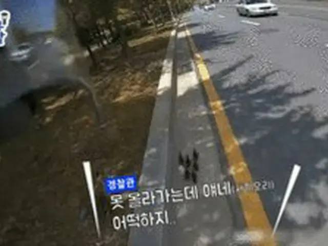 パトロール中の警察官が7車線の道路脇を移動中の子ガモを救助する様子