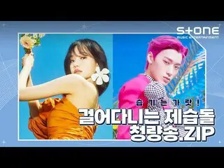 【公式cjm】 [歩き回る除湿石🧊清涼松.zip] チョ・ユリ_ , ONF_ , ATEEZ_ _ , WOODZ｜Stone Music+  
