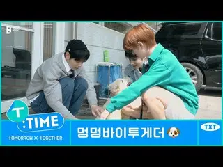 【公式】TXT、[T:TIME] Doggo X Together - TXT (TOMORROW X TOGETHER(TXT))  
