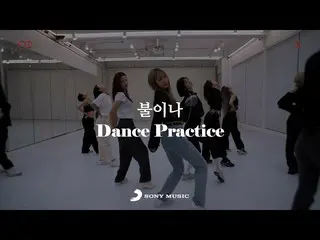 【公式】EXID、EXID – '火か' Dance Performance Video  